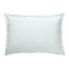 Anaya Soft Linen Pillow -Anaya And Hueb Online Shop unnamed file 329