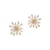 Hueb Luminus 18K Rose Gold & Diamond Burst Earrings -Anaya And Hueb Online Shop unnamed file 401