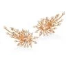 Hueb Luminus Morganite, Diamond & 18K Yellow Gold Post Earrings -Anaya And Hueb Online Shop unnamed file 498